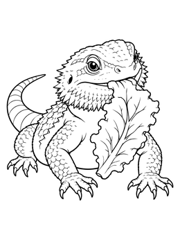 A cute bearded dragon coloring page showing the reptile munching on a fresh leaf.