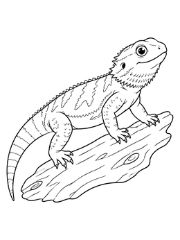Free printable Bearded Dragon On Driftwood Log coloring page