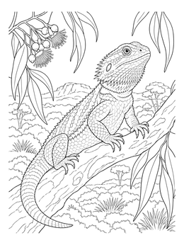 Detailed bearded dragon coloring page perched on a tree branch in the Australian outback.