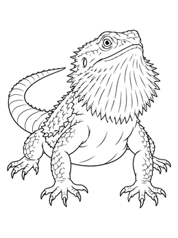 A detailed bearded dragon coloring page showing the lizard puffing out its spiky beard.