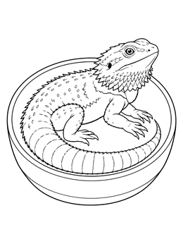 A calm lizard resting inside a dish on this bearded dragon coloring page.