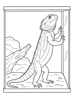 A curious lizard glass surfing in this bearded dragon coloring page.