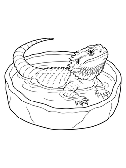 A calm bearded dragon coloring page resting inside a shallow round water basin.