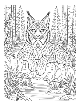 Eurasian lynx resting on a fallen birch log in this detailed belarus coloring page.