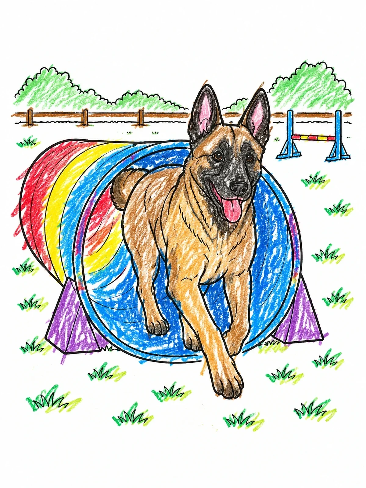 Colored example of the Belgian Malinois Agility Tunnel Run coloring page