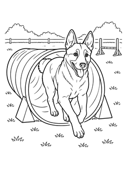 Free printable Belgian Malinois Agility Tunnel Run coloring page