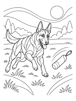 An energetic Belgian Malinois coloring page featuring a dog running toward a training toy in a field.