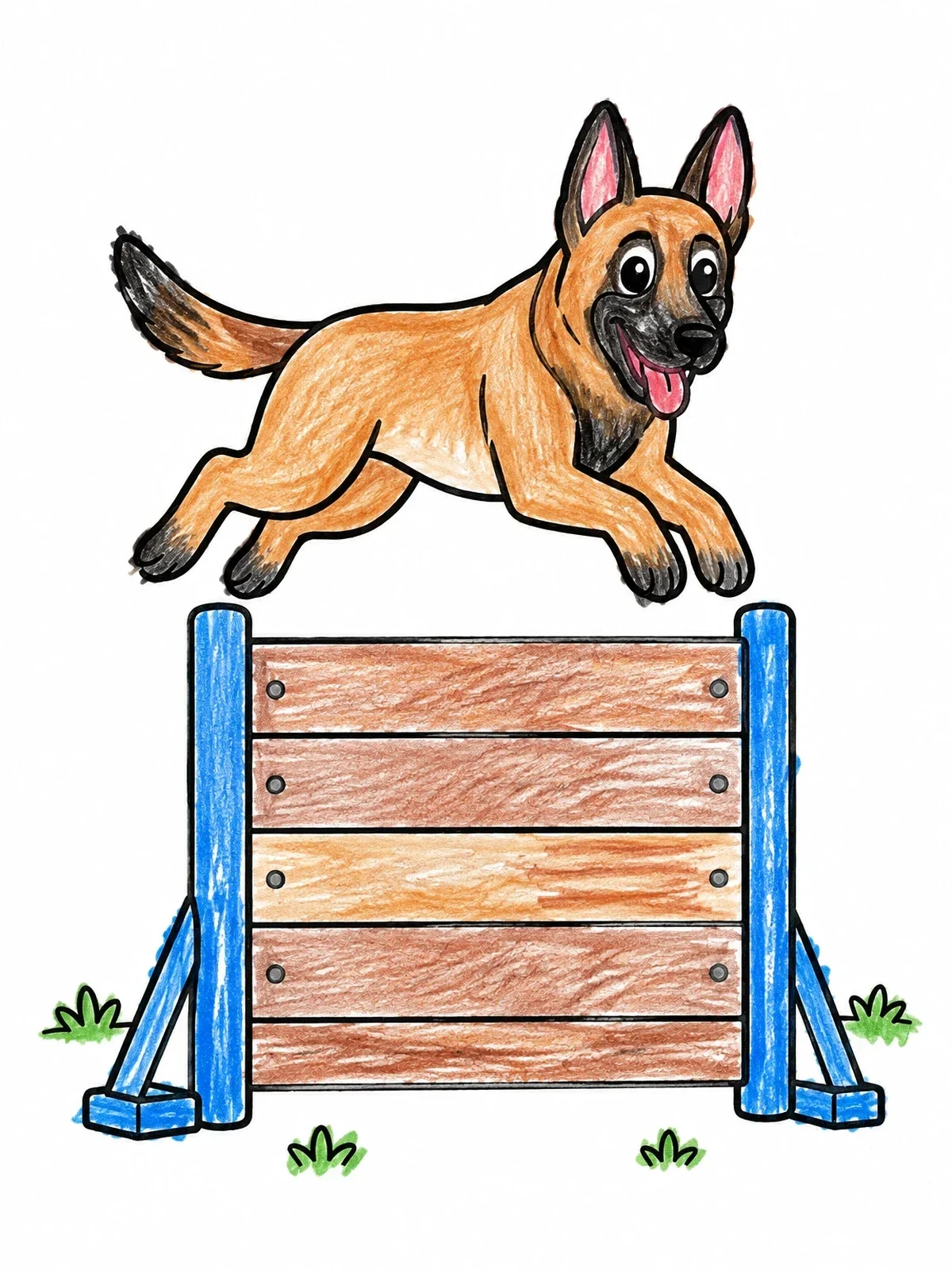 Colored example of the Belgian Malinois Jumping Agility Hurdle coloring page