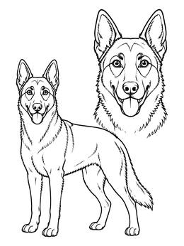 Free printable Belgian Malinois Portrait And Stance coloring page
