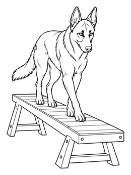 An agile dog practices balance on this belgian malinois coloring page.