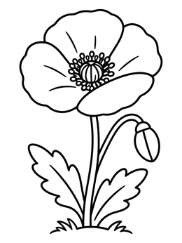 Free printable Blooming Flanders Poppy Flower coloring page