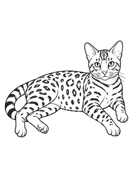 Free printable Bengal Cat Resting Gracefully coloring page