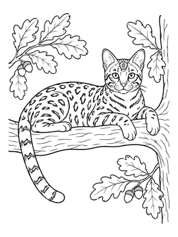 A detailed bengal cat coloring page showing the spotted cat resting on an oak tree branch.