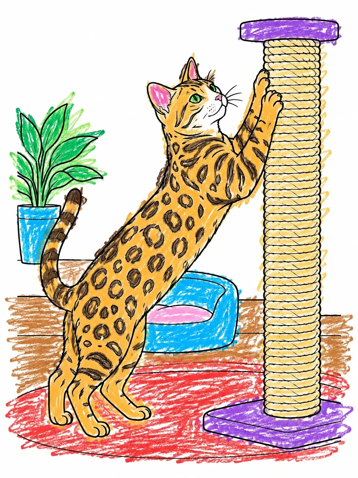 Colored example of the Bengal Cat On Scratching Post coloring page