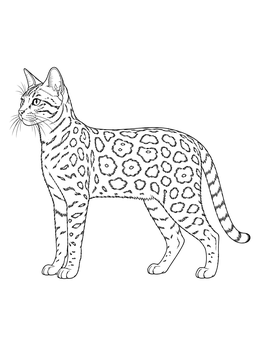 Detailed bengal cat coloring page showing distinctive spotted rosettes in side view.