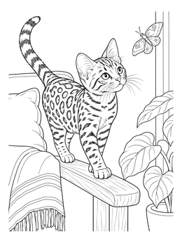 A curious kitten on an armchair armrest in this bengal cat coloring page.