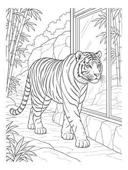 A realistic tiger prowls along an enclosure window in this zoo coloring page.