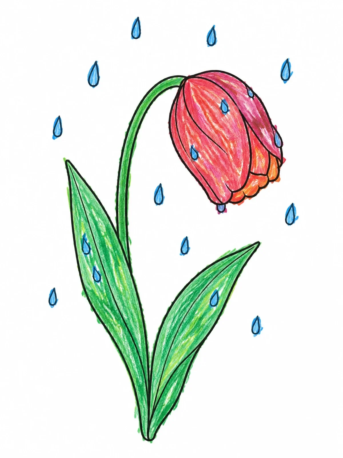 Colored example of the Bent Tulip In The Rain coloring page