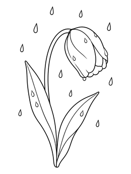 A single bent tulip coloring page surrounded by falling raindrops.