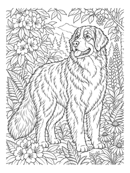 Free printable Bernese Mountain Dog In Nature coloring page