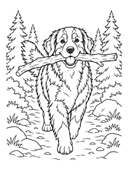 Free printable Bernese Mountain Dog On Forest Path coloring page