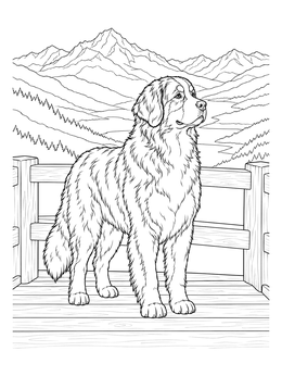 Free printable Bernese Mountain Dog On Lookout coloring page