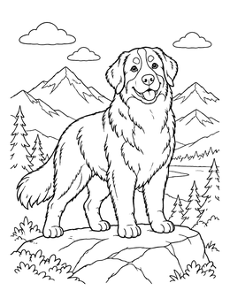 Free printable Bernese Mountain Dog On Mountain Peak coloring page