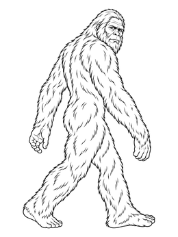 A detailed bigfoot coloring page featuring the legendary ape-man walking and looking back over its shoulder.