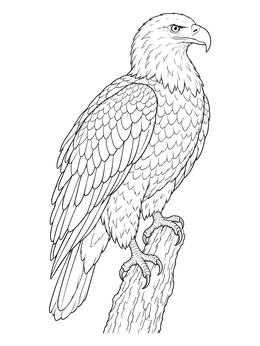 A detailed bald eagle perched on a wooden post in this bird coloring page.