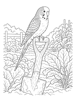 A detailed bird coloring page featuring a budgie resting on a spade handle in a leafy vegetable patch.