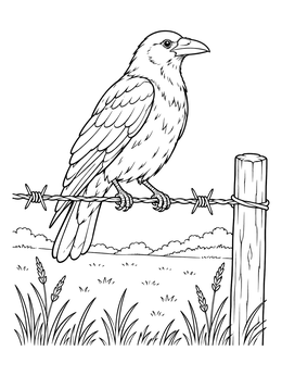 A detailed crow perched on a wire fence in this bird coloring page.