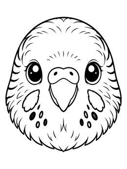 A close-up portrait on a bird coloring page showing a friendly budgie face.