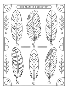 A detailed feather coloring page showcasing six uniquely patterned bird feathers.