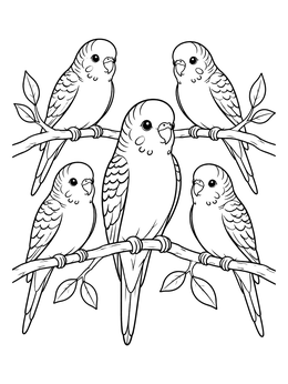 A sweet bird coloring page featuring five cute budgies sitting on tree branches.
