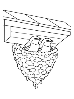 A bird nest coloring page showing two swallows resting in a textured mud nest under roof eaves.