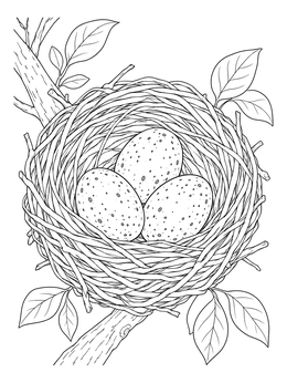 A detailed bird nest coloring page with three speckled eggs resting among woven twigs.