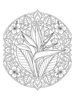 A bird of paradise mandala in this hawaiian flowers coloring page.
