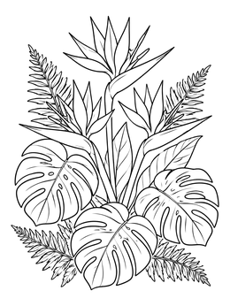 A bird of paradise coloring page featuring exotic blooms, monstera leaves, and ferns.