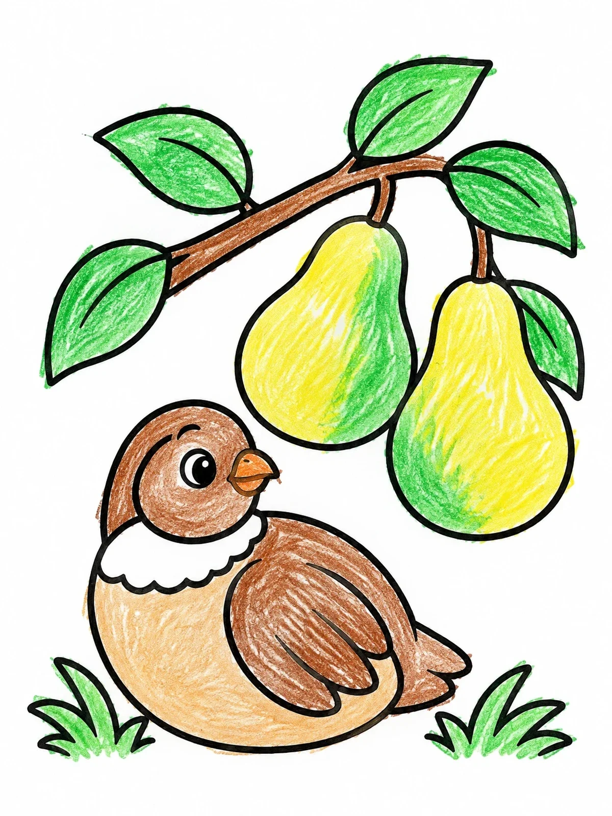 Colored example of the Cute Bird Resting Below Pears coloring page