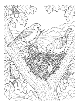 A peaceful oak tree coloring page featuring two songbirds weaving twigs into a nest.