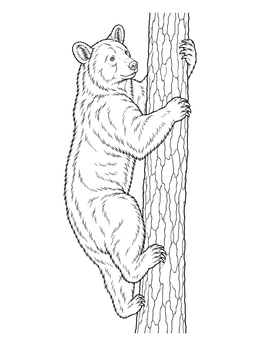 A realistic black bear coloring page showing the animal climbing a tall tree trunk.