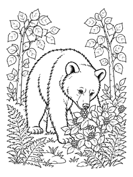 Free printable Black Bear Foraging In The Woods coloring page