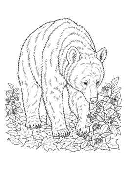 A detailed black bear coloring page showing the animal foraging among ripe berries and fallen leaves.