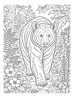 A detailed black bear coloring page walking along a lush forest path.