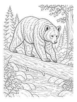 A black bear coloring page showing the animal carefully crossing a fallen log over a rushing forest stream.