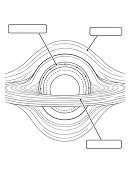 Free printable Black Hole Anatomy Diagram coloring page