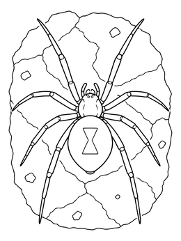 Free printable Black Widow Spider On Cracked Stone coloring page