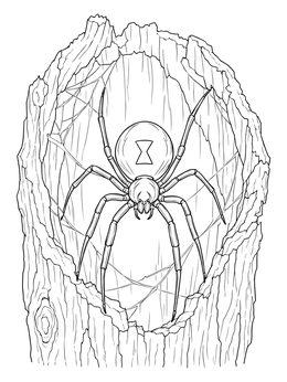 A black widow spider coloring page featuring a web inside a hollow tree trunk.