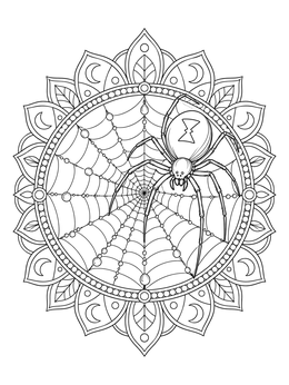A detailed black widow spider coloring page featuring an ornate web mandala.