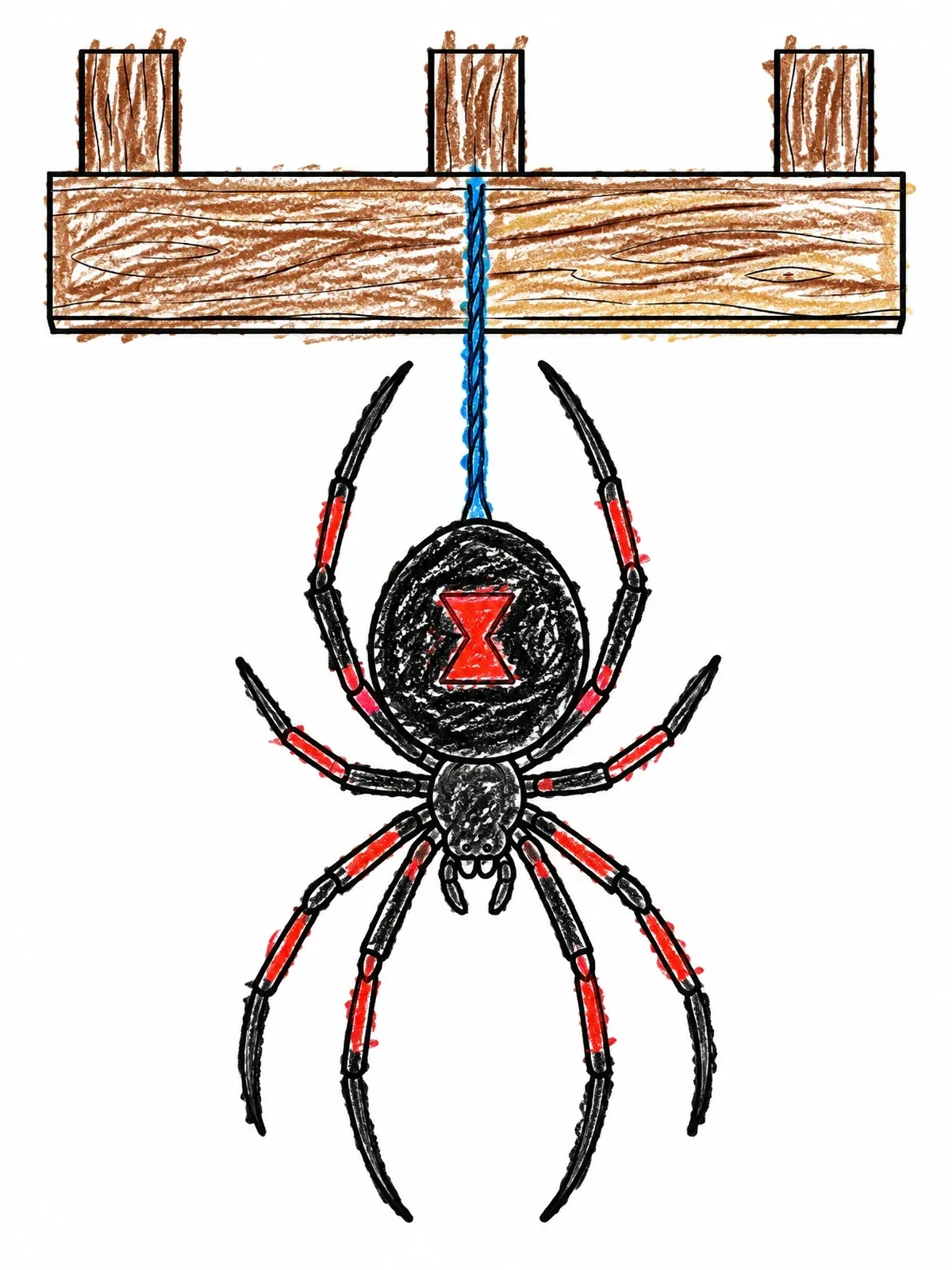 Colored example of the Black Widow Hanging From Porch Railing coloring page